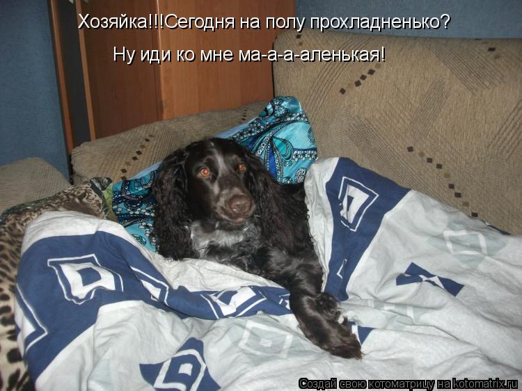 Котоматрица: Хозяйка!!!Сегодня на полу прохладненько? Ну иди ко мне ма-а-а-аленькая!