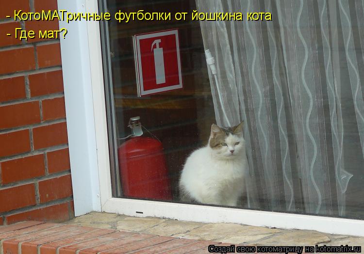 Котоматрица: - КотоМАТричные футболки от йошкина кота - Где мат?