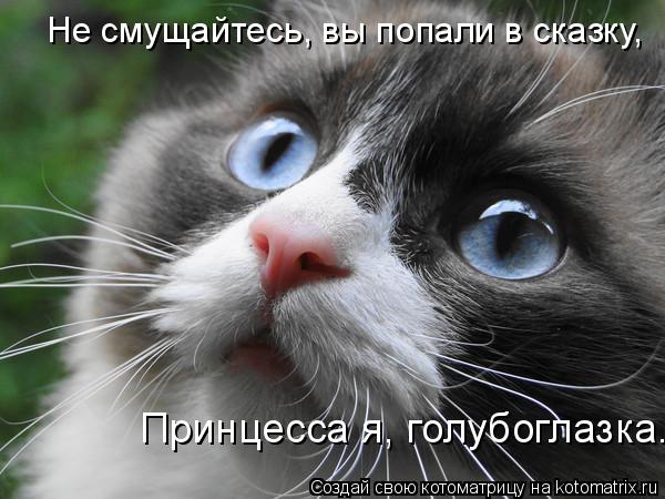 Котоматрица: Не смущайтесь, вы попали в сказку, Принцесса я, голубоглазка...
