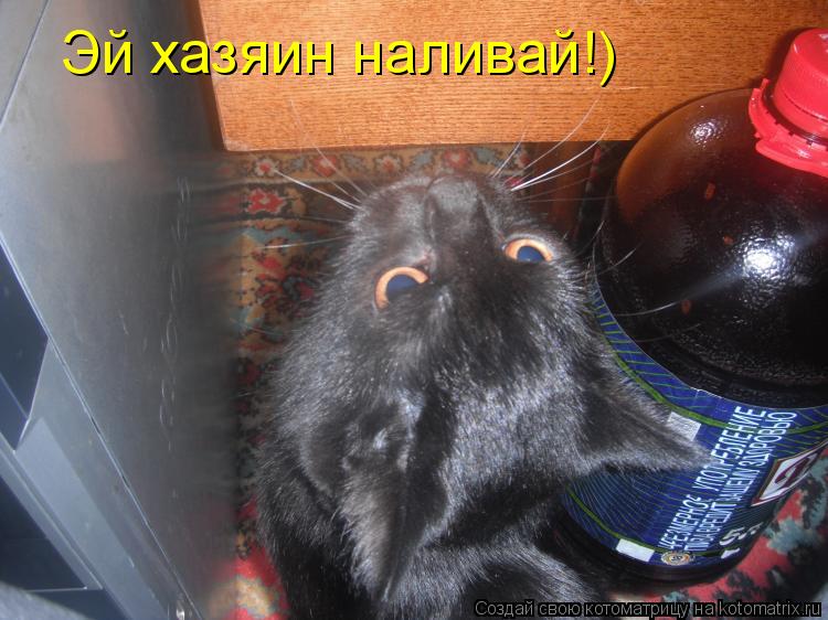 Котоматрица: Эй хазяин наливай!)