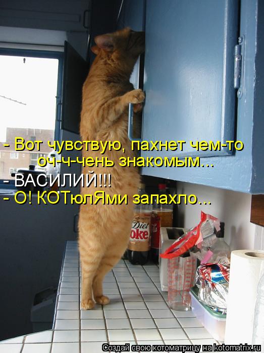 - Вот чувствую, пахнет чем-то оч-ч-чень знакомым... - ВАСИЛИЙ!!! - О! КОТюлЯми запахло...... Котоматрица: - Вот чувствую, пахнет чем-то оч-ч-чень знакомым... - ВАСИЛИЙ!!! - О! КОТюлЯми запахло...