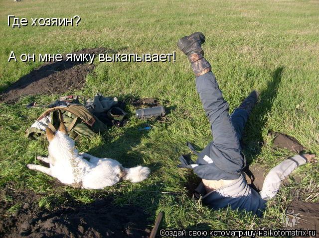 Котоматрица: Где хозяин? А он мне ямку выкапывает!