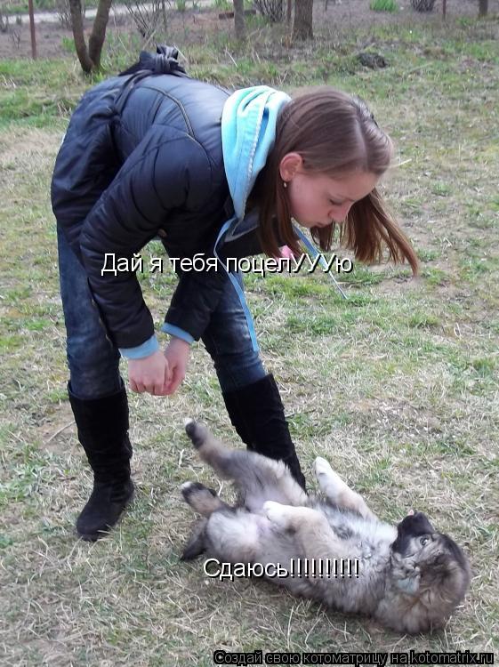 Дай я тебя поцелУУУю Сдаюсь!!!!!!!!!!... Котоматрица: Дай я тебя поцелУУУю Сдаюсь!!!!!!!!!!