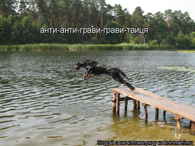 анти-анти-грави-грави-таиця... Котоматрица: анти-анти-грави-грави-таиця