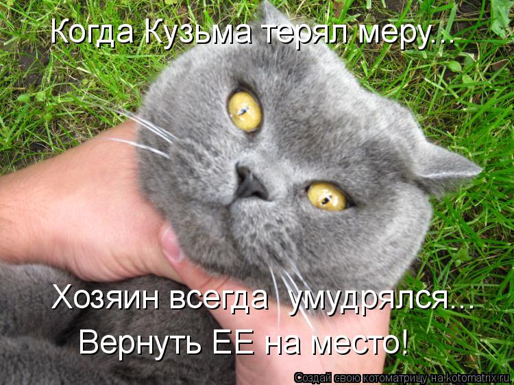 Когда Кузьма терял меру... Хозяин всегда умудрялся... Вернуть ЕЕ на место!... Котоматрица: Когда Кузьма терял меру... Хозяин всегда умудрялся... Вернуть ЕЕ на место!