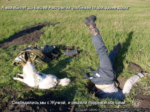 А авиабилет до Вашей Австралии, любимая Мэри, дюже дорог Снарядились мы с Жучкой, и решили прорыватьс... Котоматрица: А авиабилет до Вашей Австралии, любимая Мэри, дюже дорог Снарядились мы с Жучкой, и решили прорываться сами