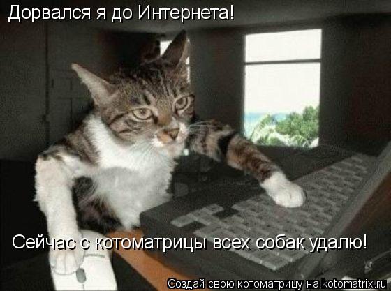 Дорвался я до Интернета! Сейчас с котоматрицы всех собак удалю!... Котоматрица: Дорвался я до Интернета! Сейчас с котоматрицы всех собак удалю!