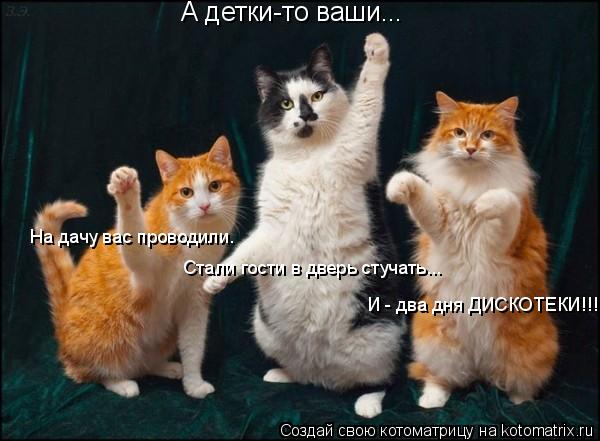 А детки-то ваши... На дачу вас проводили. Стали гости в дверь стучать... И - два дня ДИСКОТЕКИ!!!... Котоматрица: А детки-то ваши... На дачу вас проводили. Стали гости в дверь стучать... И - два дня ДИСКОТЕКИ!!!