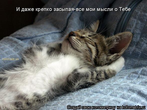 И даже крепко засыпая-все мои мысли о Тебе... Котоматрица: И даже крепко засыпая-все мои мысли о Тебе