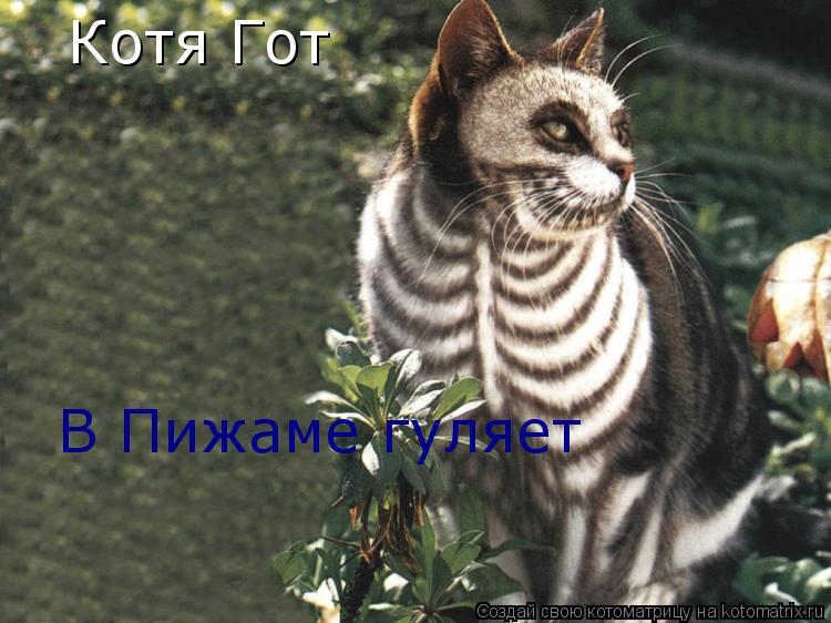Котя Гот В Пижаме гуляет... Котоматрица: Котя Гот В Пижаме гуляет