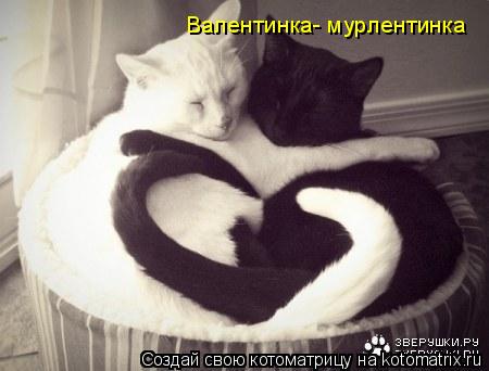 Котоматрица: Валентинка- мурлентинка