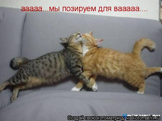 Котоматрица: ааааа...мы позируем для вааааа....