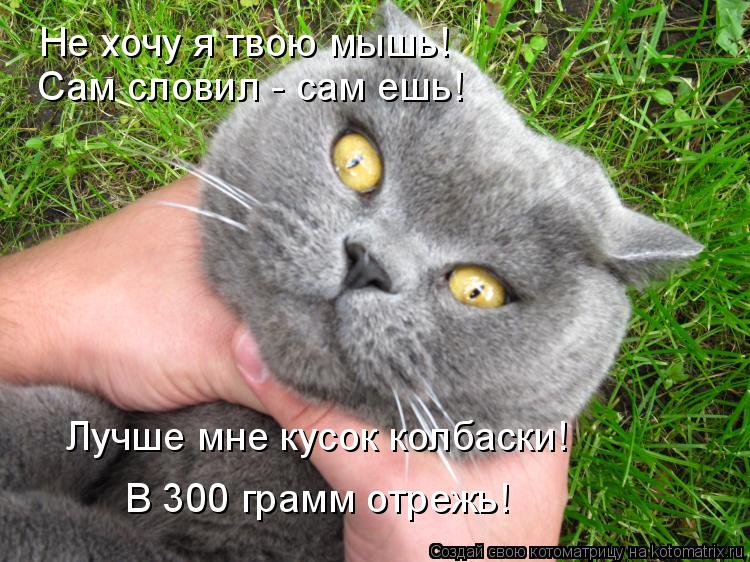 Котоматрица: Не хочу я твою мышь! Сам словил - сам ешь! Лучше мне кусок колбаски! В 300 грамм отрежь!