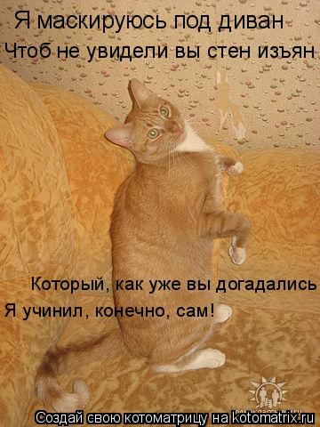 Я маскируюсь под диван Чтоб не увидели вы стен изъян Который, как уже вы догадались Я учинил, конечно... Котоматрица: Я маскируюсь под диван Чтоб не увидели вы стен изъян Который, как уже вы догадались Я учинил, конечно, сам!