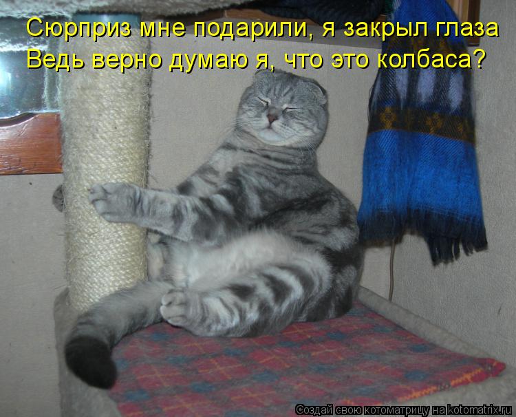 Сюрприз мне подарили, я закрыл глаза Ведь верно думаю я, что это колбаса?... Котоматрица: Сюрприз мне подарили, я закрыл глаза Ведь верно думаю я, что это колбаса?