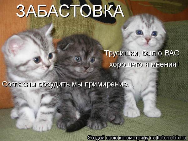 ЗАБАСТОВКА Согласны обсудить мы примирение... Трусишки, был о ВАС хорошего я мнения!... Котоматрица: ЗАБАСТОВКА Согласны обсудить мы примирение... Трусишки, был о ВАС хорошего я мнения!