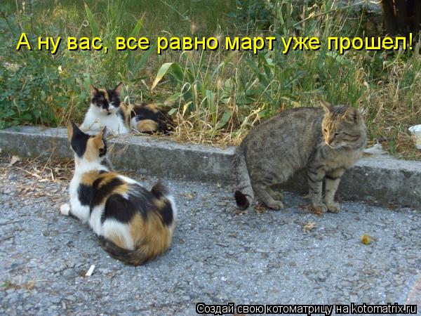 А ну вас, все равно март уже прошел!... Котоматрица: А ну вас, все равно март уже прошел!