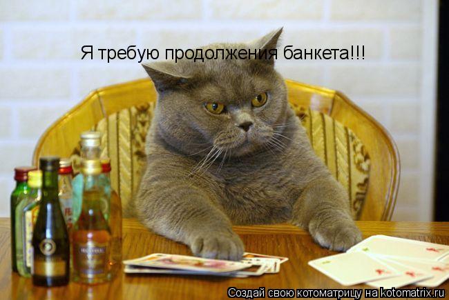 Я требую продолжения банкета!!!... Котоматрица: Я требую продолжения банкета!!!