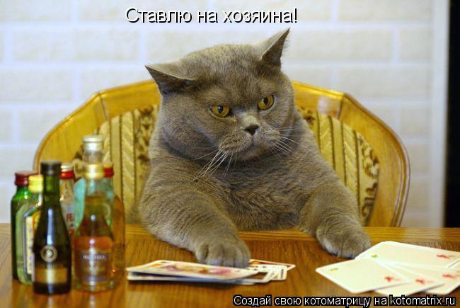 Ставлю на хозяина!... Котоматрица: Ставлю на хозяина!