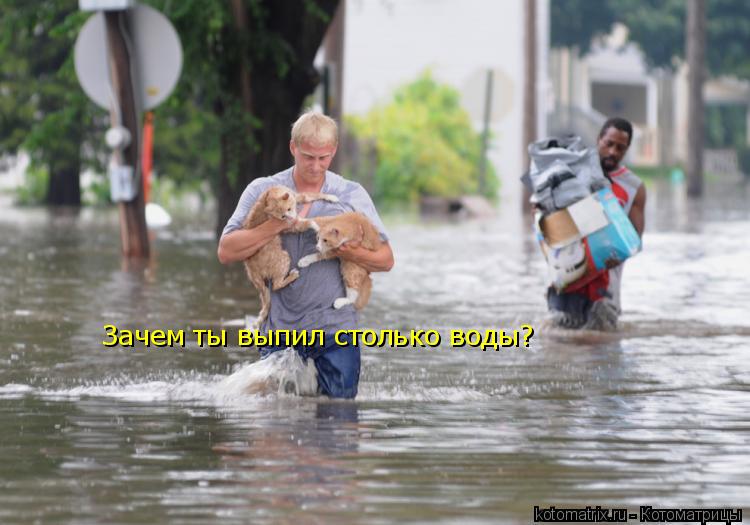 Зачем ты выпил столько воды?... Котоматрица: Зачем ты выпил столько воды?