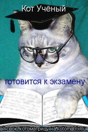 готовится к экзамену Кот Учёный... Котоматрица: готовится к экзамену Кот Учёный