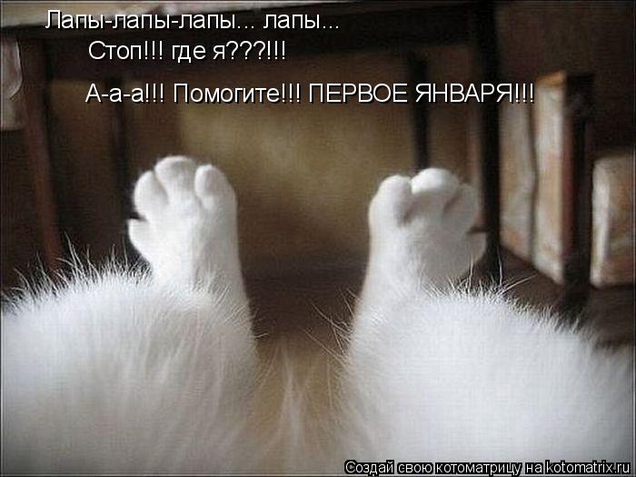 Лапы-лапы-лапы... лапы... Лапы-лапы-лапы... лапы... Стоп!!! где я???!!! А-а-а!!! Помогите!!! ПЕРВОЕ Я... Котоматрица: Лапы-лапы-лапы... лапы... Лапы-лапы-лапы... лапы... Стоп!!! где я???!!! А-а-а!!! Помогите!!! ПЕРВОЕ ЯНВАРЯ!!!