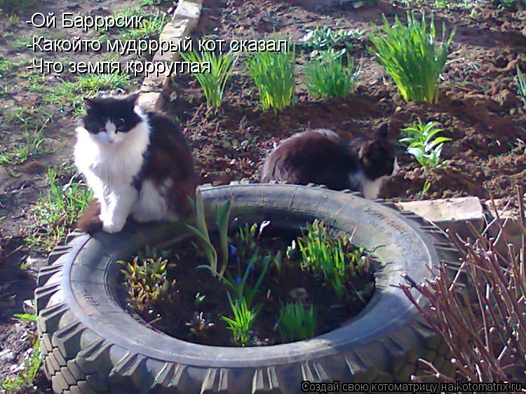 -Ой Барррсик -Какойто мудрррый кот сказал -Что земля кррруглая... Котоматрица: -Ой Барррсик -Какойто мудрррый кот сказал -Что земля кррруглая
