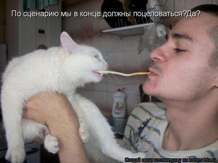 По сценарию мы в конце должны поцеловаться?Да?... Котоматрица: По сценарию мы в конце должны поцеловаться?Да?