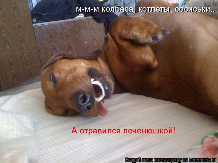 Анекдоты отравился печенюшкой Анекдоты отравился печенюшкой