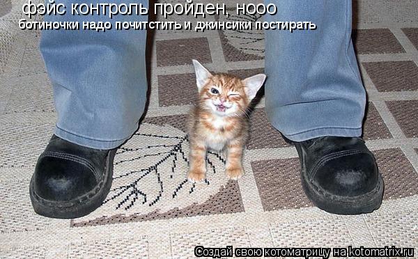 фэйс контроль пройден, нооо ботиночки надо почитстить и джинсики постирать... Котоматрица: фэйс контроль пройден, нооо ботиночки надо почитстить и джинсики постирать