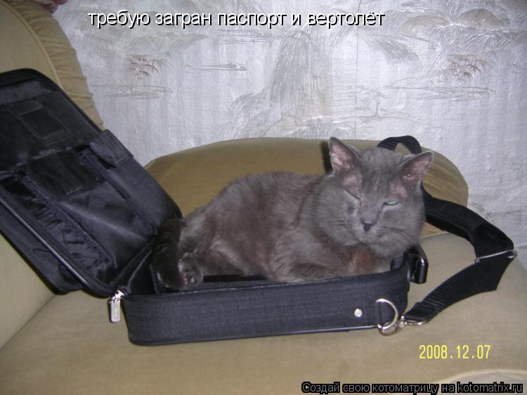 требую загран паспорт и вертолёт... Котоматрица: требую загран паспорт и вертолёт