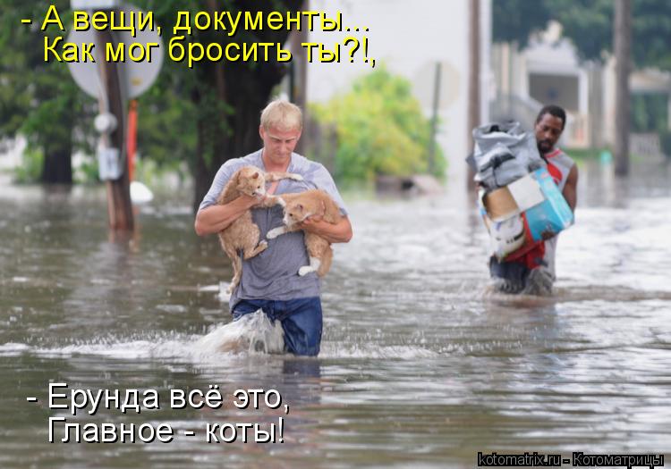 - А вещи, документы... Как мог бросить ты?!, - Ерунда всё это, Главное - коты!... Котоматрица: - А вещи, документы... Как мог бросить ты?!, - Ерунда всё это, Главное - коты!