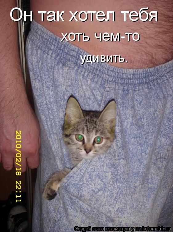 Он так хотел тебя хоть чем-то удивить.... Котоматрица: Он так хотел тебя хоть чем-то удивить.
