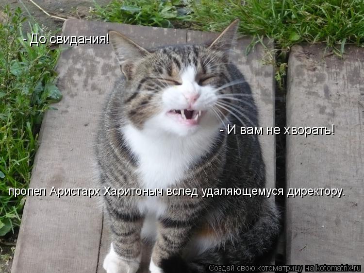 - До свидания! пропел Аристарх Харитоныч вслед удаляющемуся директору. пропел Аристарх Харитоныч в... Котоматрица: - До свидания! пропел Аристарх Харитоныч вслед удаляющемуся директору. пропел Аристарх Харитоныч вслед удаляющемуся директору. - До свида