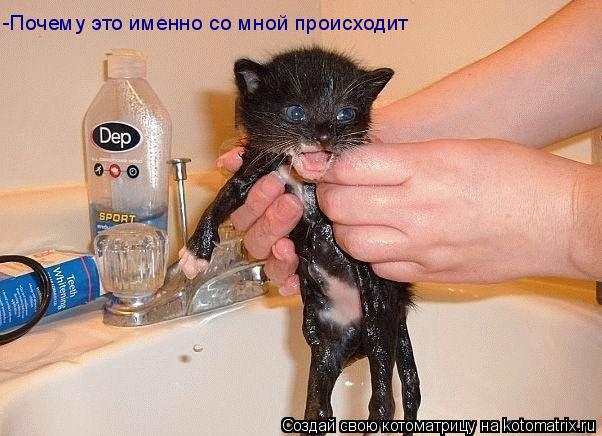 -Почему это именно со мной происходит... Котоматрица: -Почему это именно со мной происходит