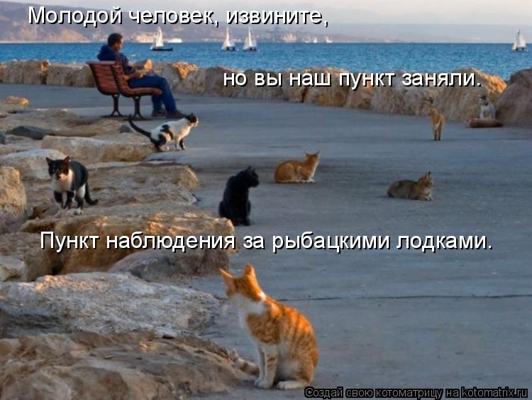 Молодой человек, извините, но вы наш пункт заняли. Пункт наблюдения за рыбацкими лодками.... Котоматрица: Молодой человек, извините, но вы наш пункт заняли. Пункт наблюдения за рыбацкими лодками.