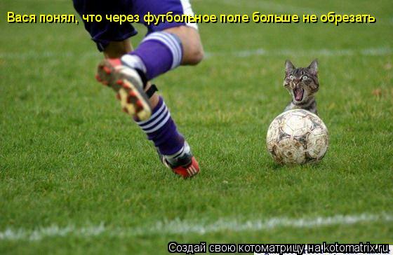 Вася понял, что через футбольное поле больше не обрезать... Котоматрица: Вася понял, что через футбольное поле больше не обрезать