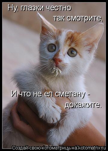 Ну, глазки честно так смотрите, И что не ел сметану - докажите.... Котоматрица: Ну, глазки честно так смотрите, И что не ел сметану - докажите.