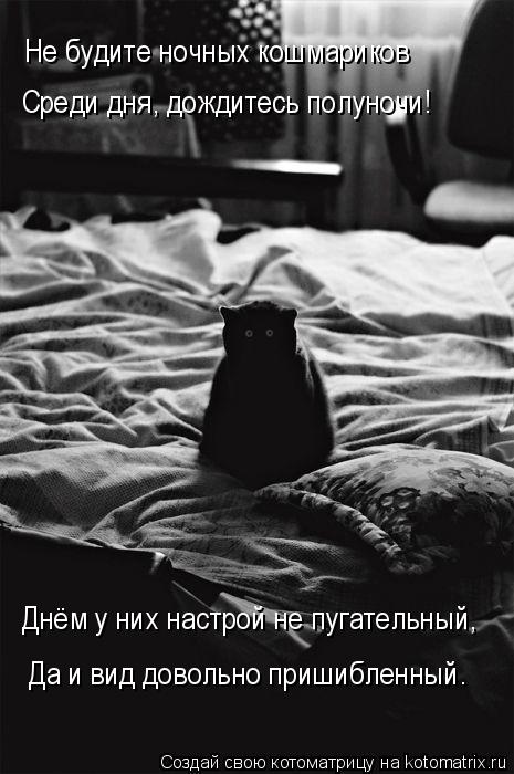 Днём у них настрой не пугательный, Да и вид довольно пришибленный. Не будите ночных кошмариков Среди ... Котоматрица: Днём у них настрой не пугательный, Да и вид довольно пришибленный. Не будите ночных кошмариков Среди дня, дождитесь полуночи!