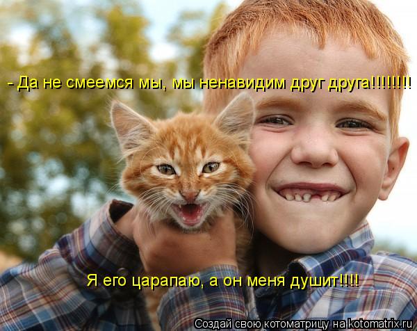 - Да не смеемся мы, мы ненавидим друг друга!!!!!!!! Я его царапаю, а он меня душит!!!!... Котоматрица: - Да не смеемся мы, мы ненавидим друг друга!!!!!!!! Я его царапаю, а он меня душит!!!!