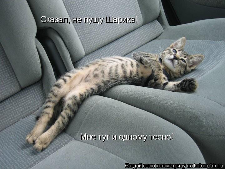 Мне тут и одному тесно! Сказал, не пущу Шарика!... Котоматрица: Мне тут и одному тесно! Сказал, не пущу Шарика!
