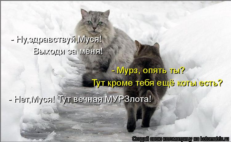 - Мурз, опять ты? Тут кроме тебя ещё коты есть? - Ну,здравствуй,Муся! Выходи за меня! - Нет,Муся! Тут... Котоматрица: - Мурз, опять ты? Тут кроме тебя ещё коты есть? - Ну,здравствуй,Муся! Выходи за меня! - Нет,Муся! Тут вечная МУРЗлота!