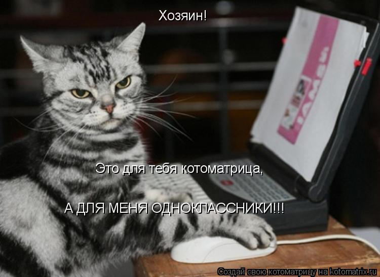 Хозяин! Это для тебя котоматрица, А ДЛЯ МЕНЯ ОДНОКЛАССНИКИ!!!... Котоматрица: Хозяин! Это для тебя котоматрица, А ДЛЯ МЕНЯ ОДНОКЛАССНИКИ!!!