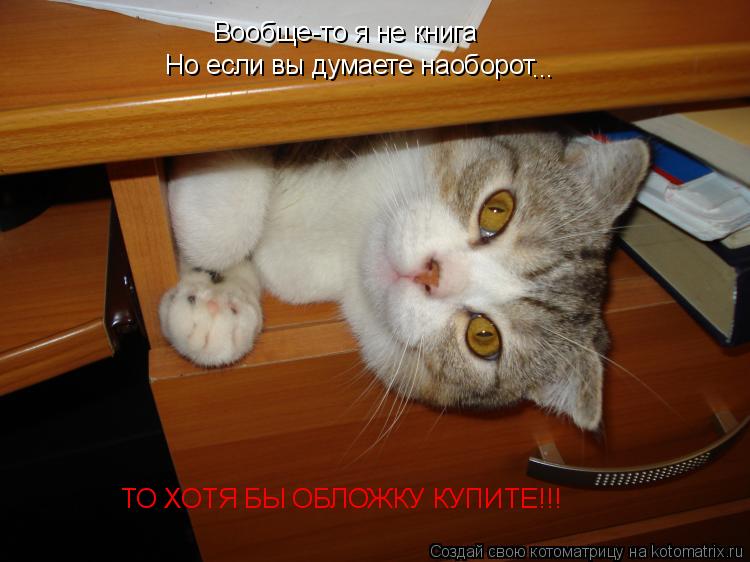 Вообще-то я не книга Но если вы думаете наоборот ... ТО ХОТЯ БЫ ОБЛОЖКУ КУПИТЕ!!!... Котоматрица: Вообще-то я не книга Но если вы думаете наоборот ... ТО ХОТЯ БЫ ОБЛОЖКУ КУПИТЕ!!!
