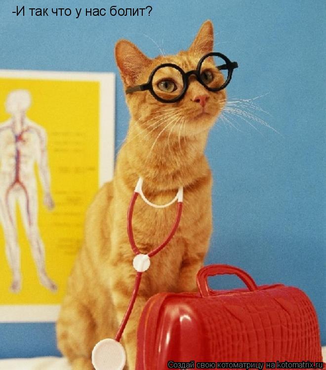-И так что у нас болит?... Котоматрица: -И так что у нас болит?