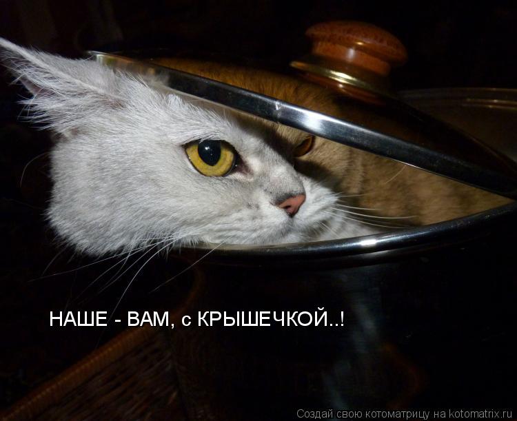 НАШЕ - ВАМ, с КРЫШЕЧКОЙ..!... Котоматрица: НАШЕ - ВАМ, с КРЫШЕЧКОЙ..!