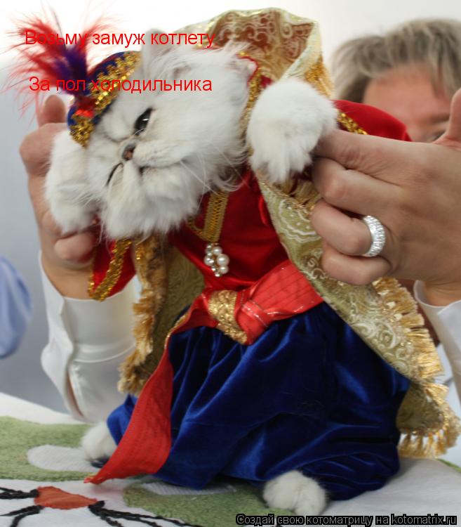 Котоматрица: Возьму замуж котлету За пол холодильника