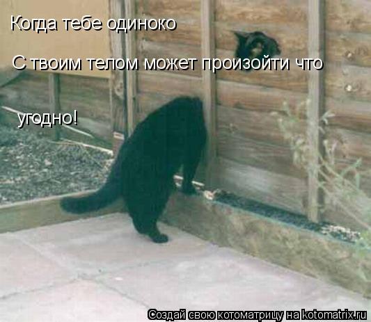 Котоматрица: Когда тебе одиноко С твоим телом может произойти что  угодно!