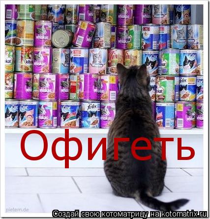 Котоматрица: Офигеть