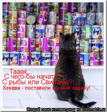 Котоматрица: Тааак... С чего-бы начать?... С рыбы или Свинины?!... Хзяева - поставили вы мне задачу!